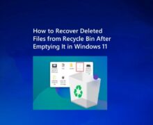 how-to-recover-deleted-files-from-recycle-bin-after-empty-windows-11