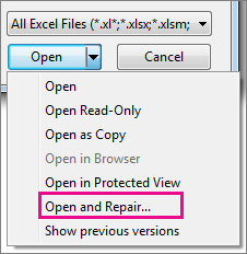 open-and-repair