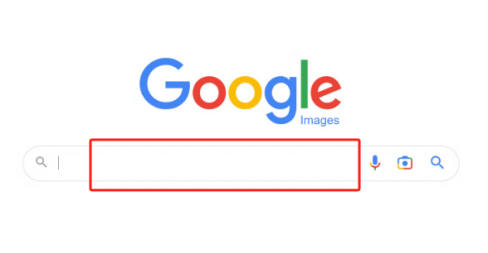 google-photo-search-bar