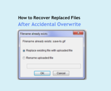 how-to-recover-replaced-files